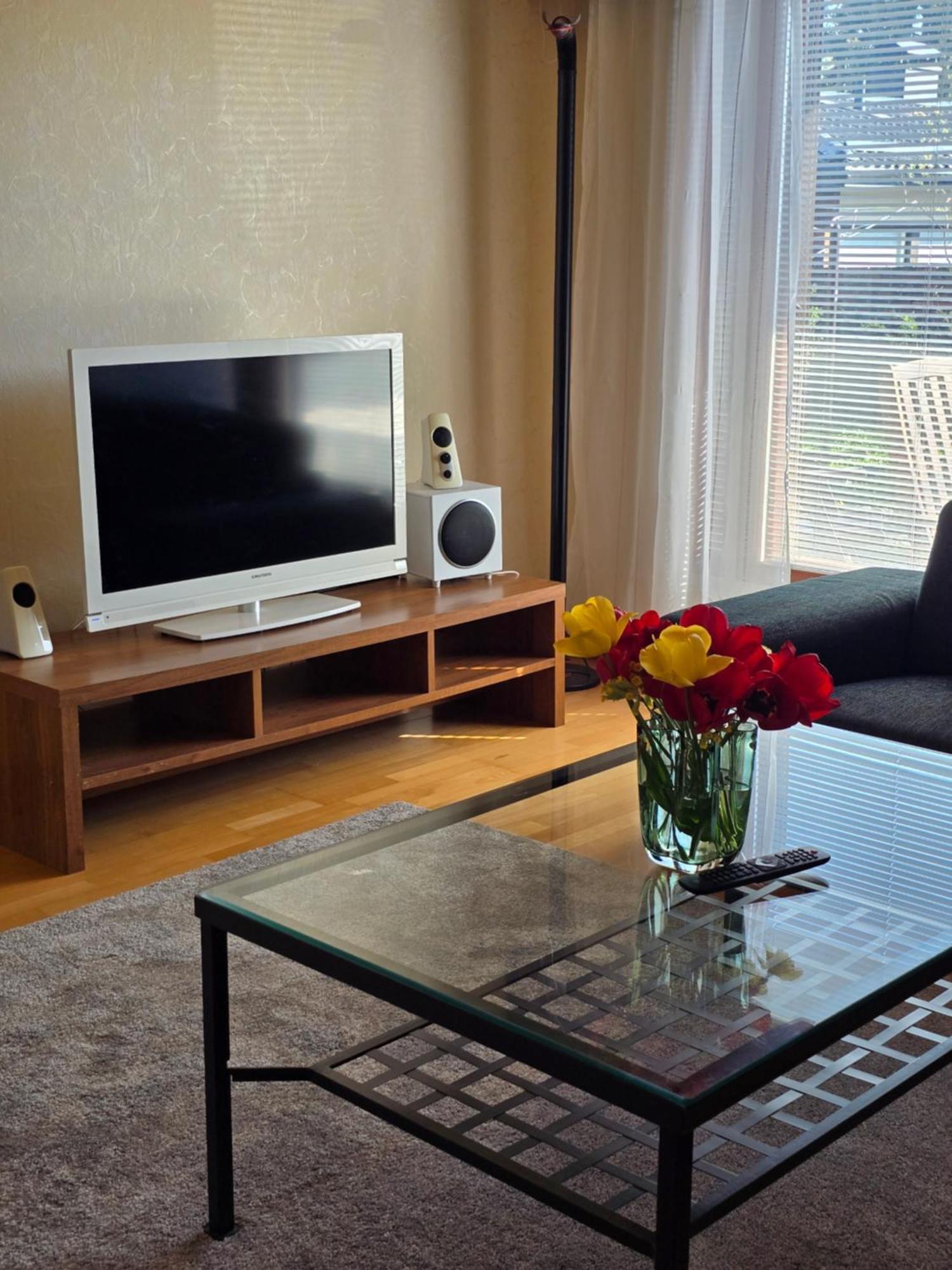 ראומה Anttoninvahe 7 130M2 With Garden And Sauna Etc מראה חיצוני תמונה